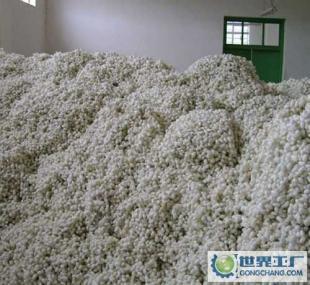 中药材蚕茧的应用与市场概况 常年供应信息源自世界工厂网