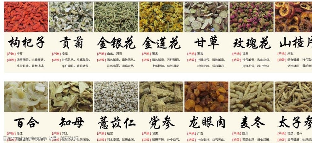 中药材资料