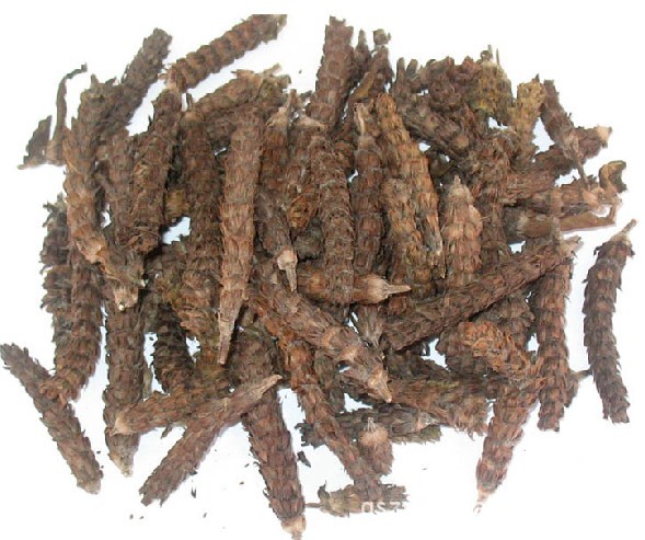【河南特产夏枯球 绿色中草药】价格,厂家,图片,植物中药材,制衣厂-